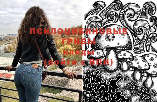 шишки Киров