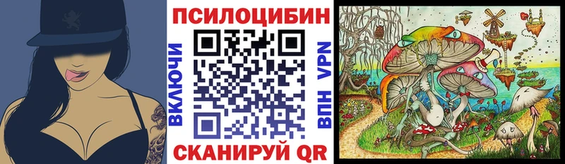 Псилоцибиновые грибы Cubensis  Прокопьевск 