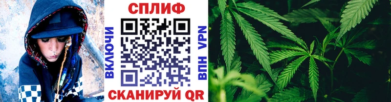 Канабис ГИДРОПОН  omg tor  Прокопьевск 
